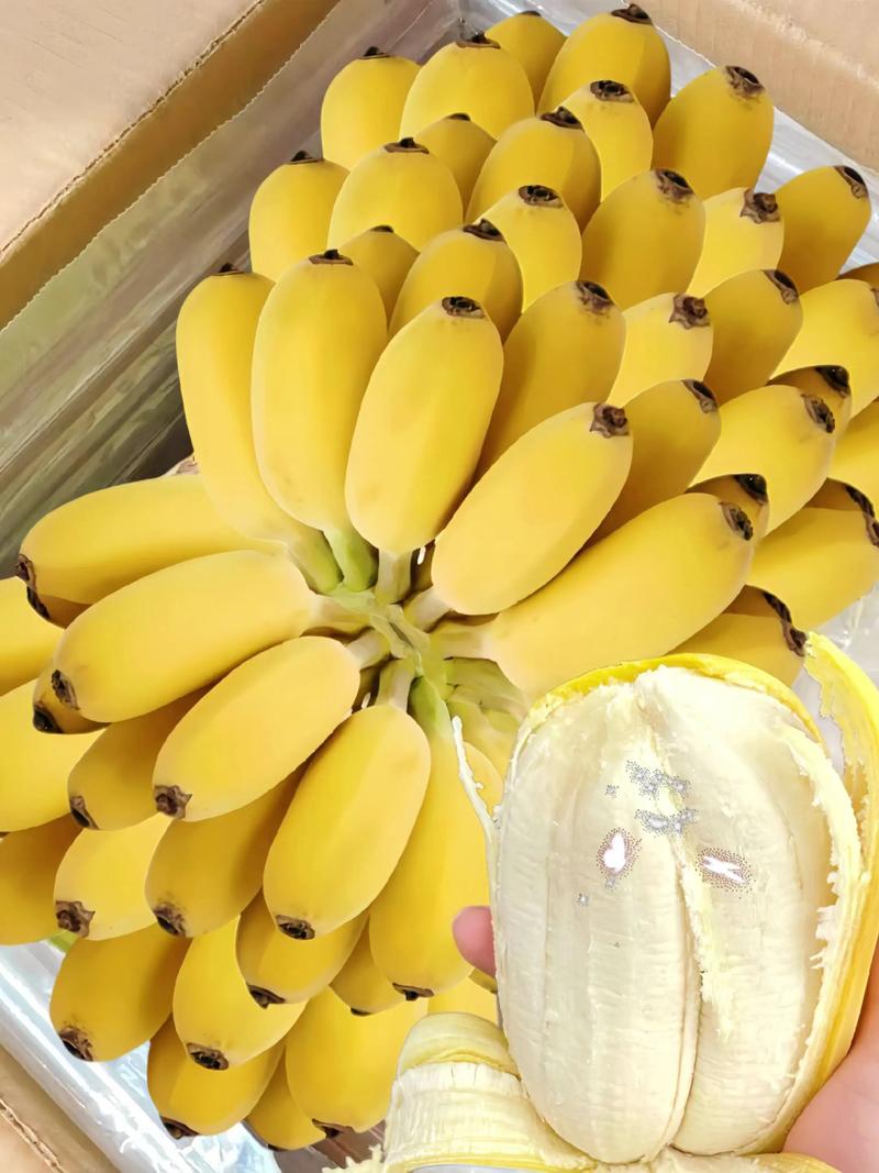 南宁综合贸易